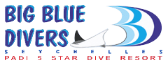 Big Blue Divers