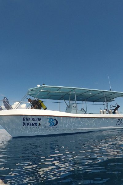 big-blue-divers-seychelles-sec6-img