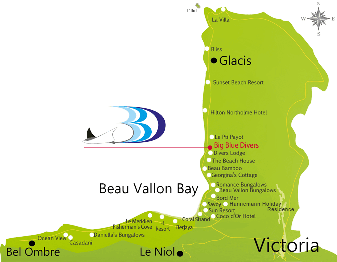 big-blue-divers-seychelles-home_roadmap